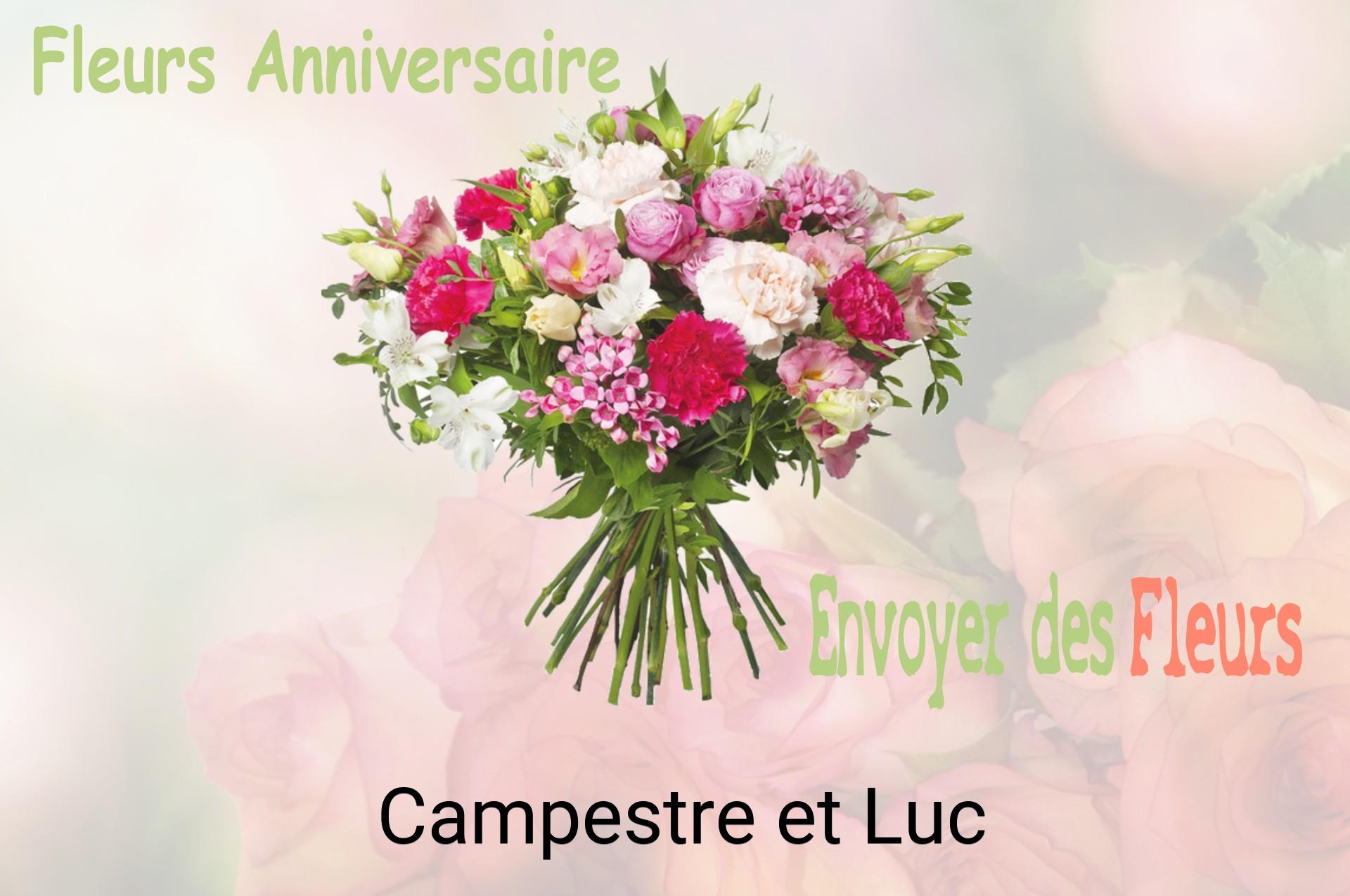 Bouquet de fleurs d’anniversaire livré à Campestre-et-Luc
