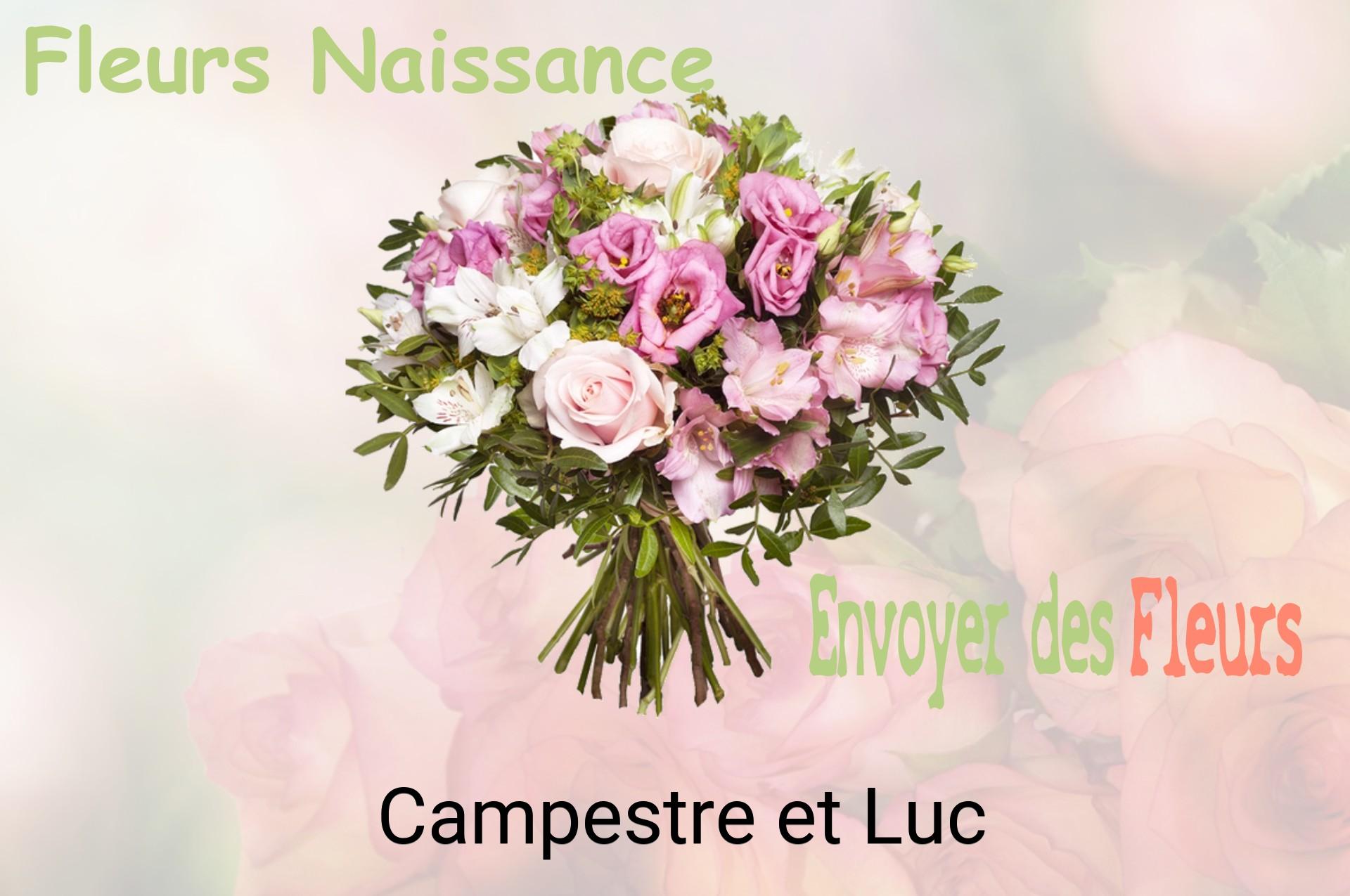 Bouquet de fleurs de naissance livré à Campestre-et-Luc