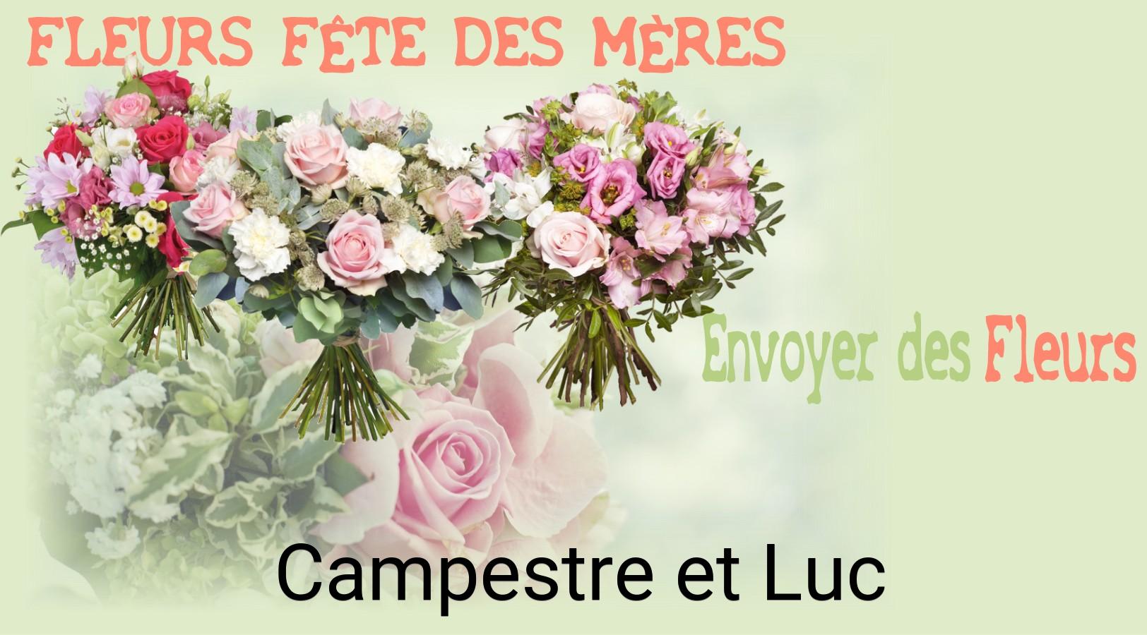 Bouquet de Fête des Mères livré à Campestre-et-Luc